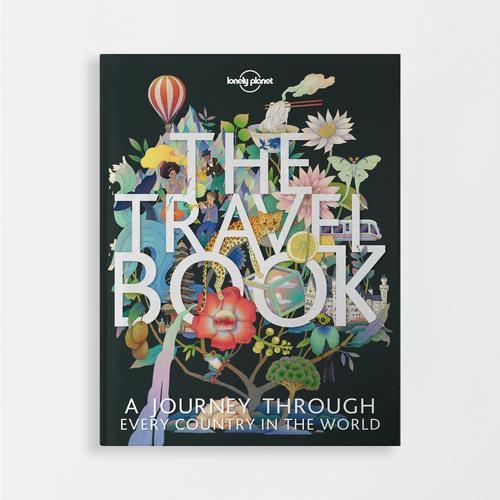 The Travel Book (Paperback)