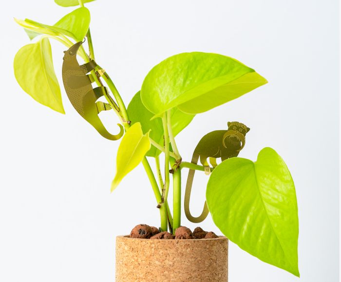 Plant Animals