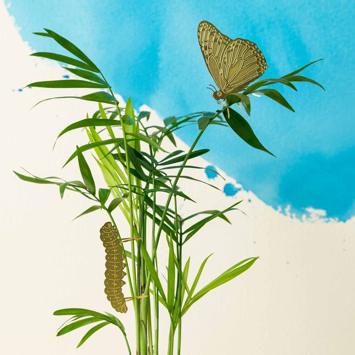 Plant Animals