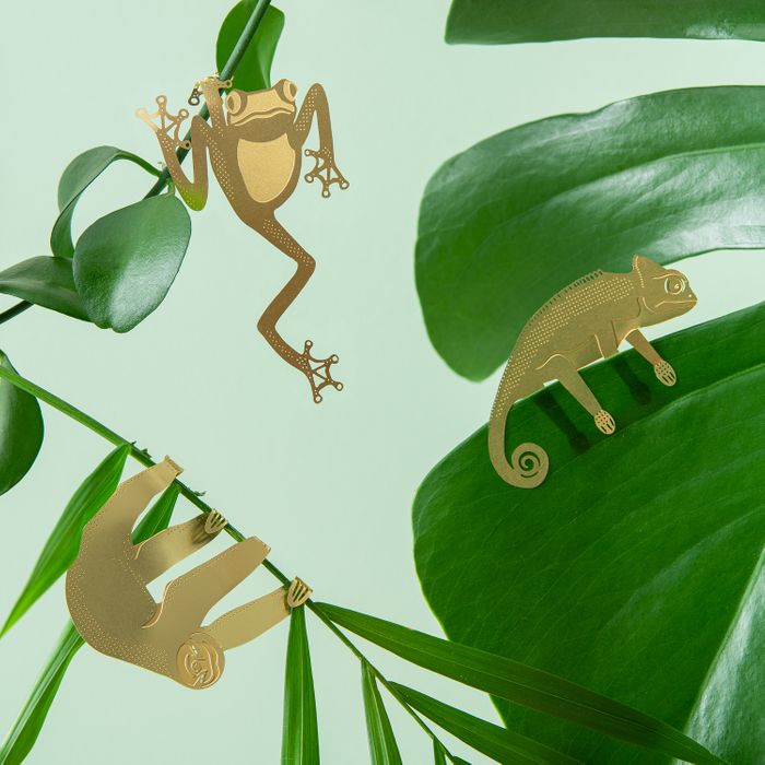 Plant Animals