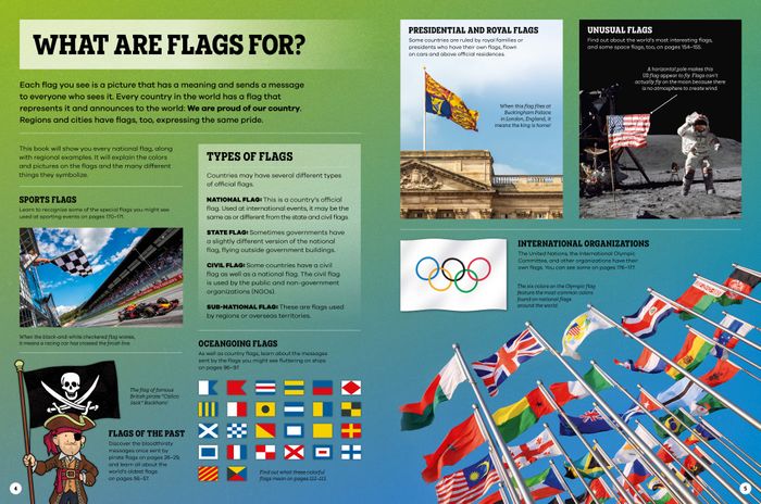 The Flag Book (Hardback)