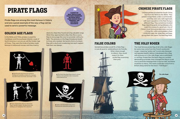 The Flag Book (Hardback)