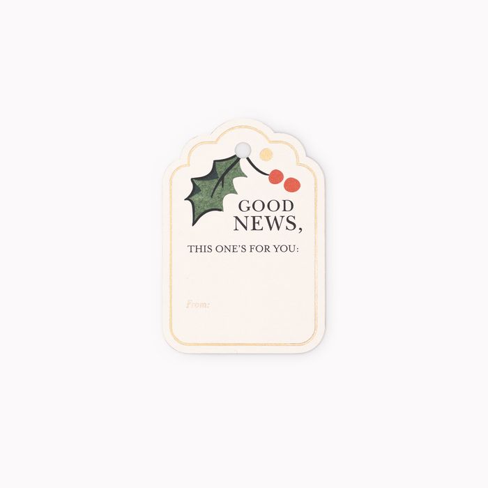 Medium Gift Bag, Christmas Chronicle