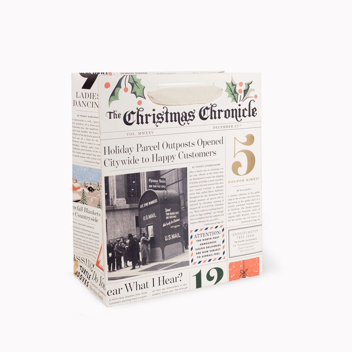 Medium Gift Bag, Christmas Chronicle