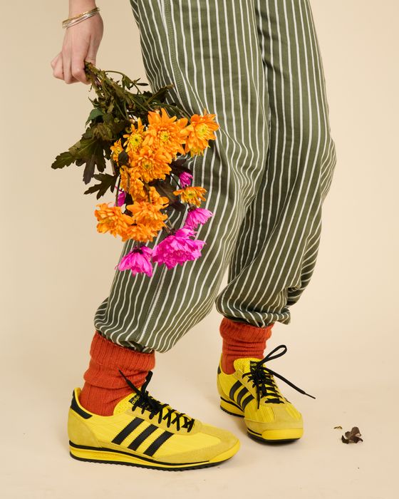 Somerville Socks