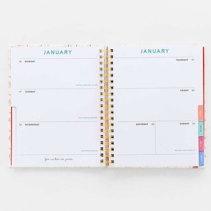 12 Month Large Planner, Bonjour Pattern Ivory