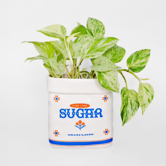Ceramic Planter, Sugar Jar