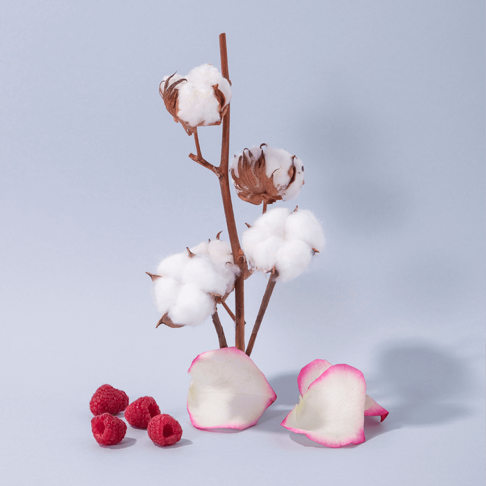 Cotton Flower
