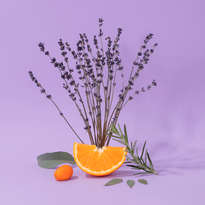 Aromatic Lavender