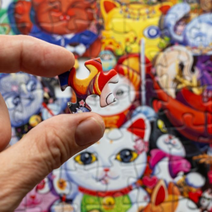 Lucky Cat 100 piece puzzle