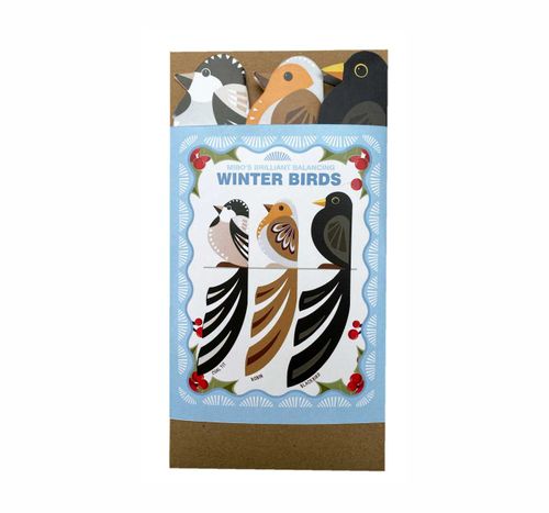 Winter Birds