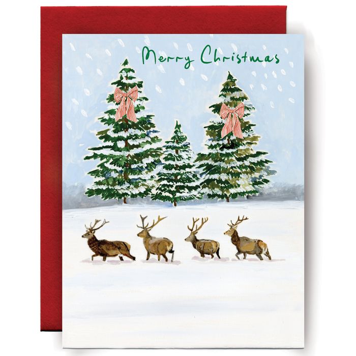 Christmas HOPE range