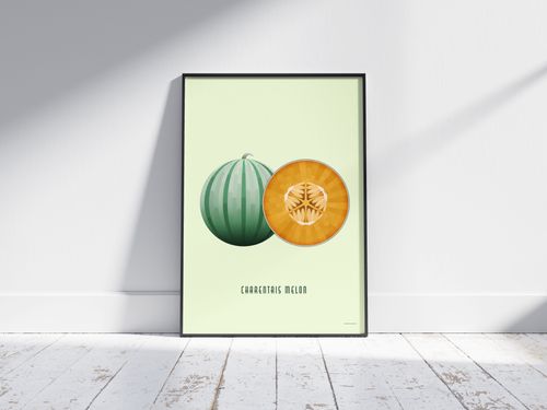 Charentais Melon Art Print