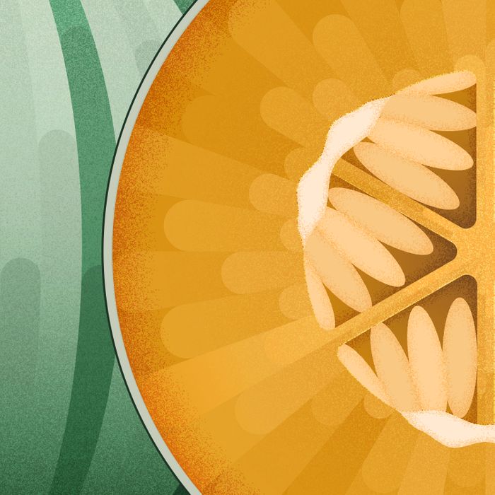 Charentais Melon Art Print
