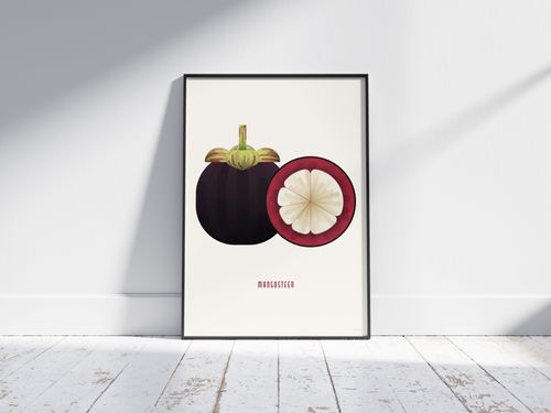 Mangosteen Art Print