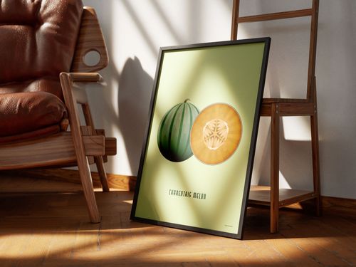 Charentais Melon Large Poster