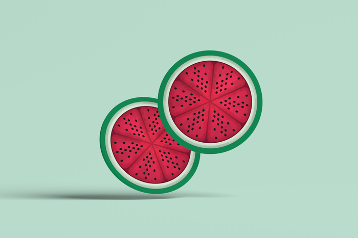 Watermelon Round Coaster Set of Four