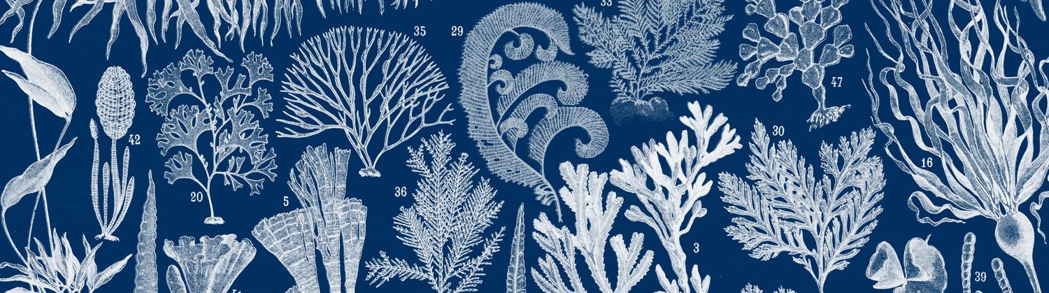 Cover image - The Passenger Press