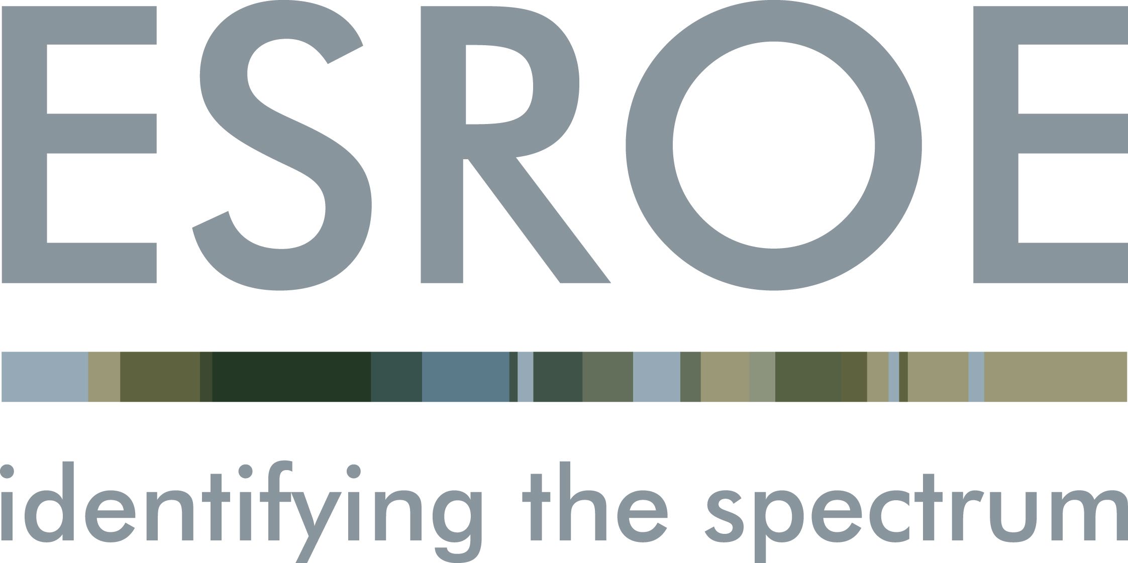 ESROE Limited