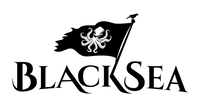 Company name - BlackSea Technologies