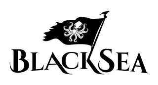 Exhibitor profile image for BlackSea Technologies