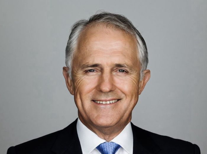 Former Australian Prime Minister Malcolm Turnbull Appointed Director