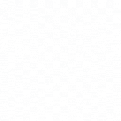 UDT 2024 - Checkbox