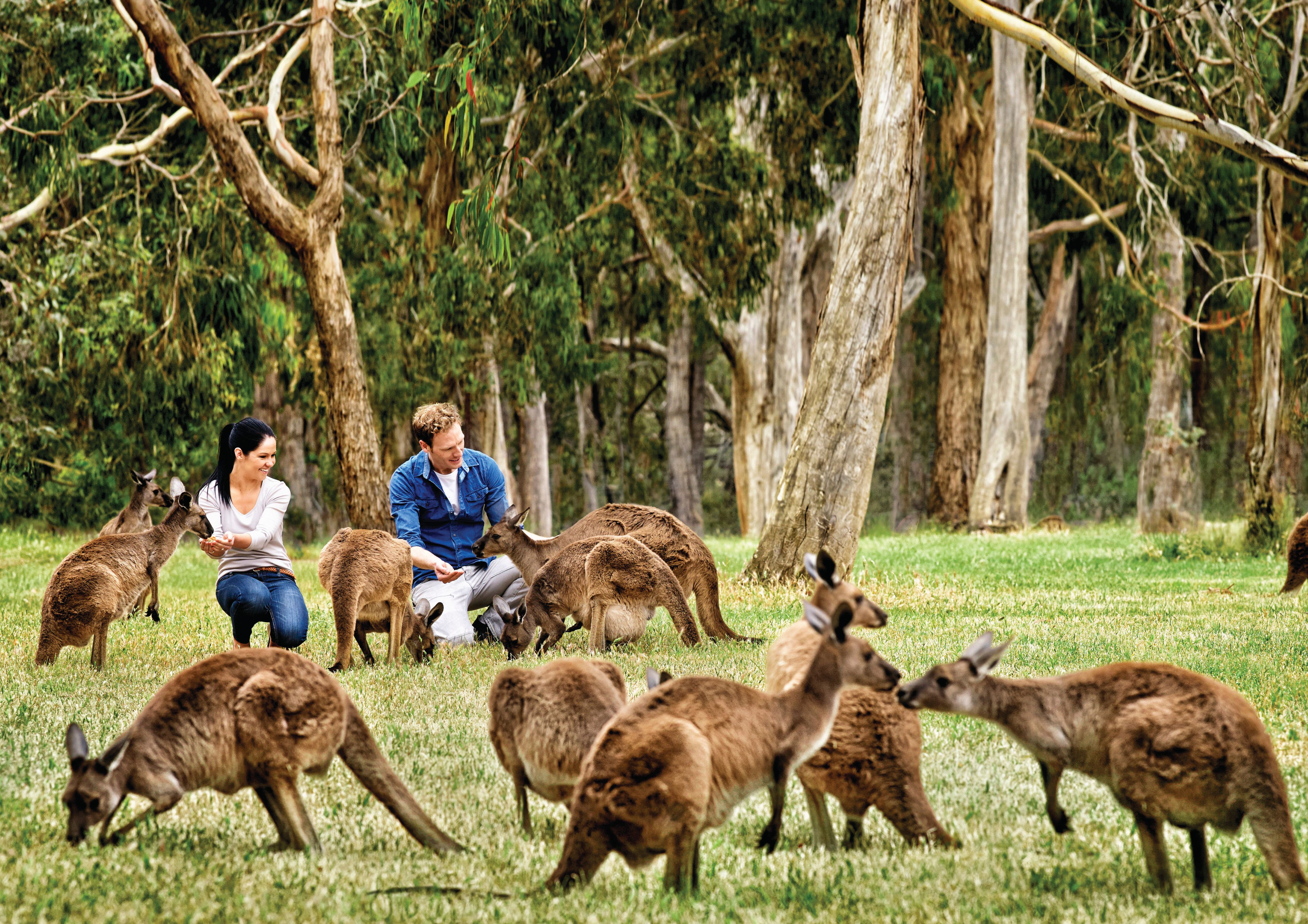Kangaroo Island