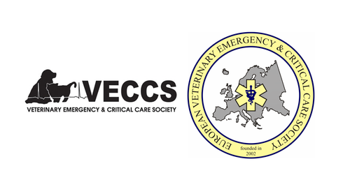 Veterinary Emergency + Critical Care Society/European Veterinary Emergency and Critical Care Society