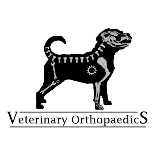 Animal Orthopaedics Ltd - Veterinary Orthopaedics