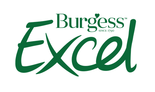 Burgess Group PLC