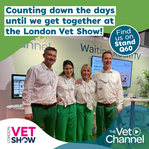 The Vet Channel