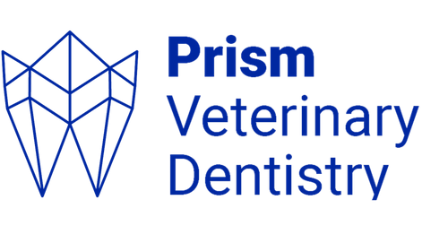 Prism Veterinary Dentistry