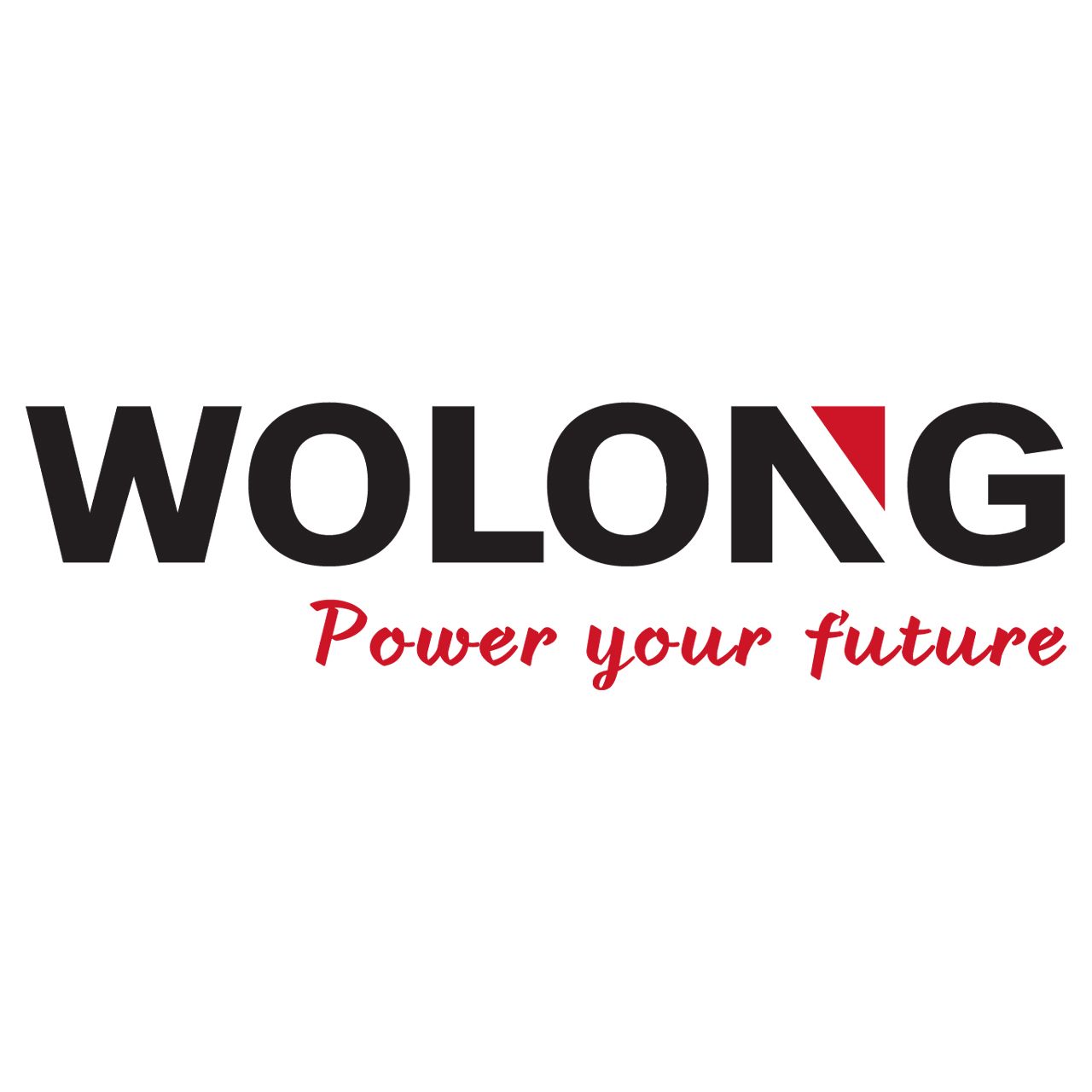Wolong Electric