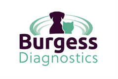 Burgess Diagnostics Ltd