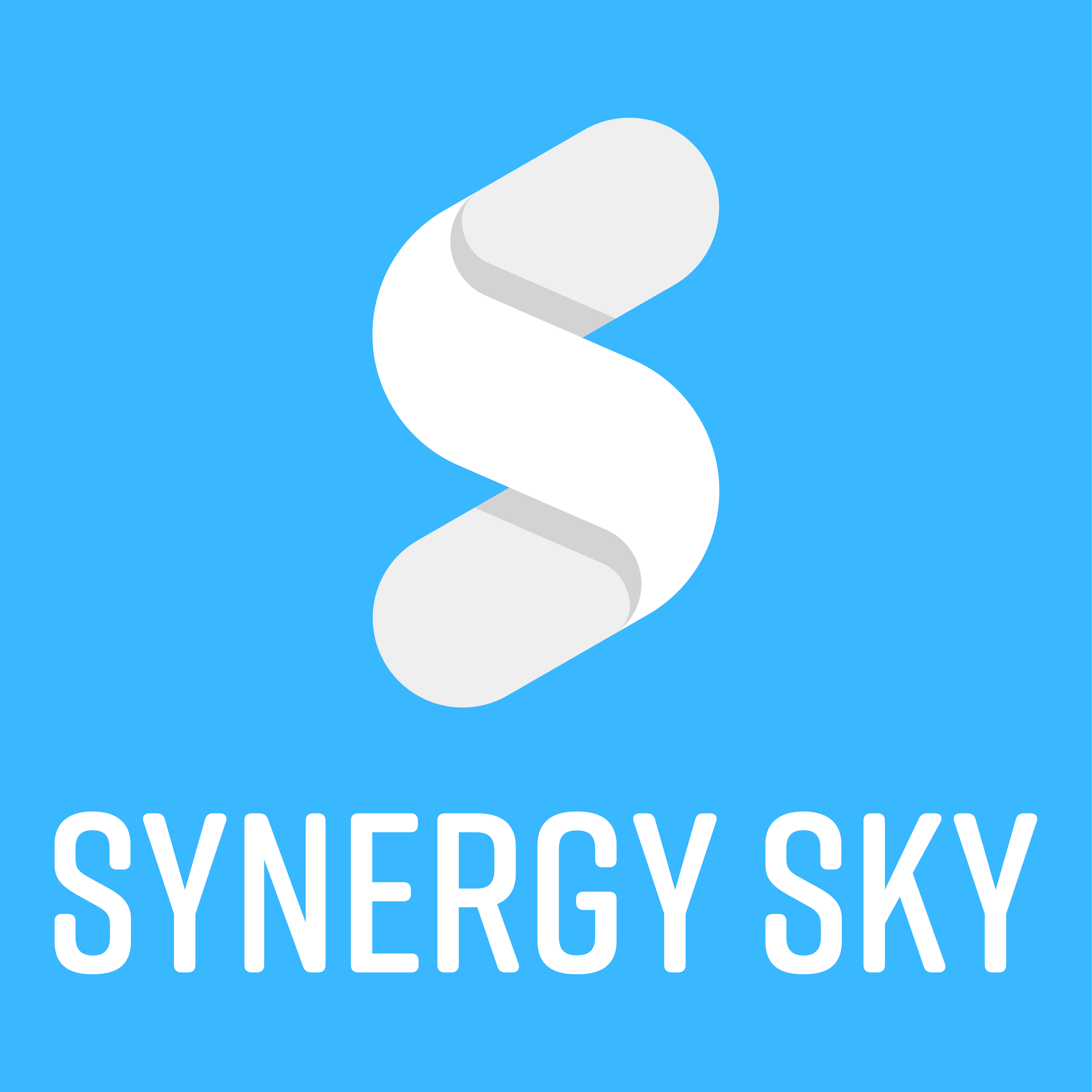 SYNERGY SKY