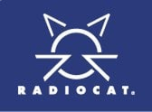 Radio Cat