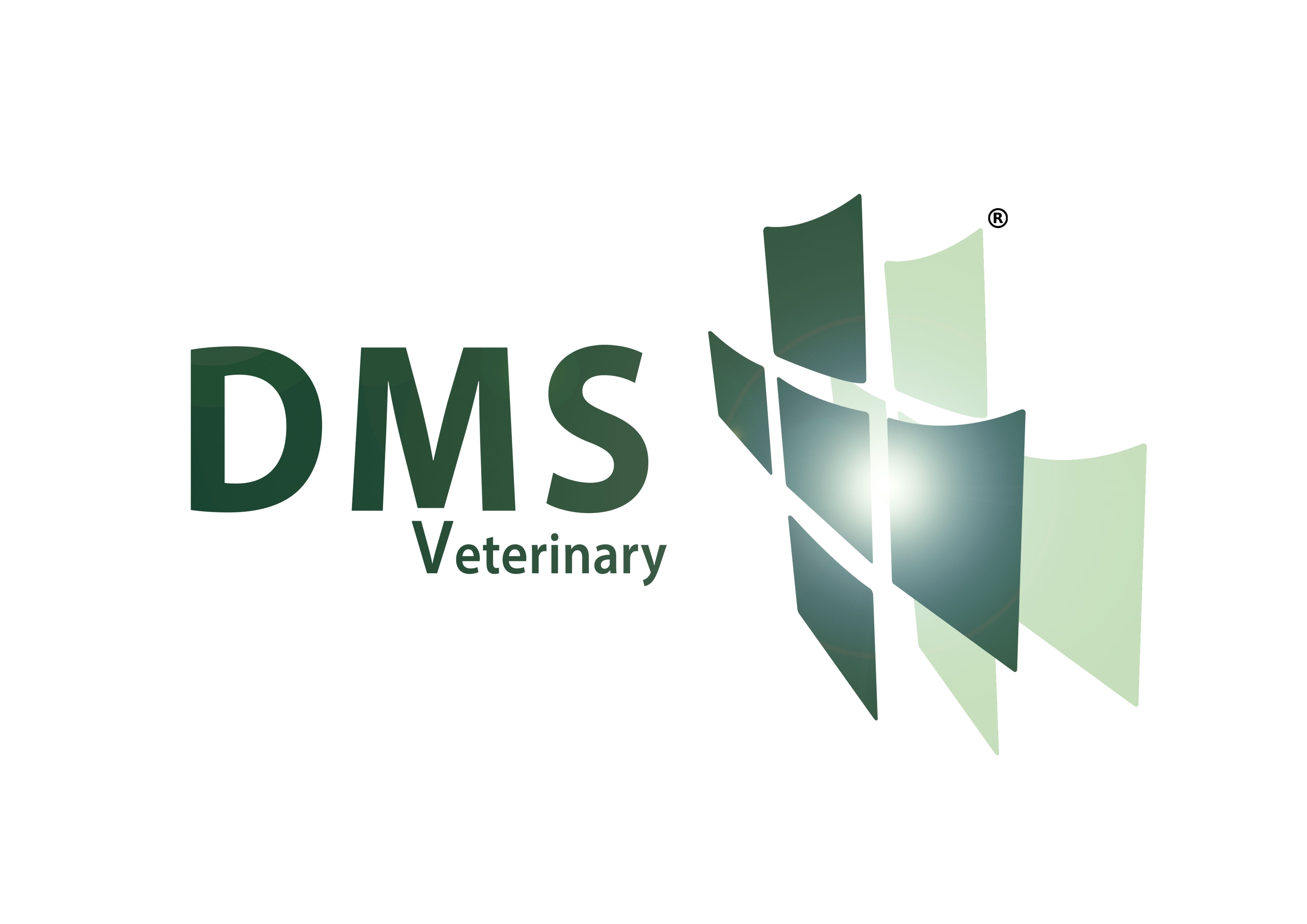 DMS Plus Ltd
