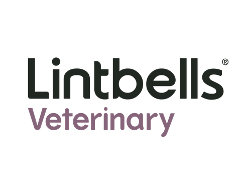 Lintbells Limited