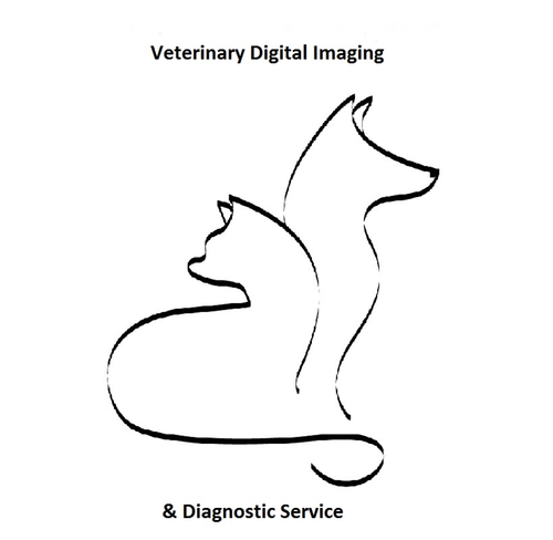 Veterinary Digital Imaging and Diagnostic Service, LLC