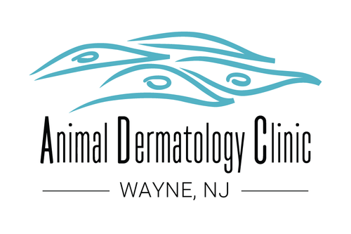 Animal Dermatology Clinic – Wayne