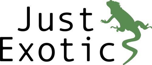 Just Exotics