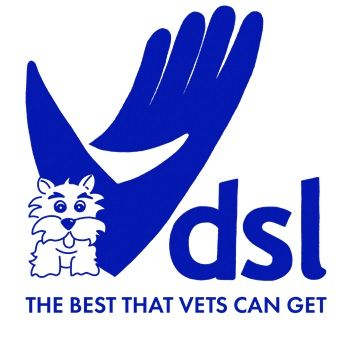 DSL UK