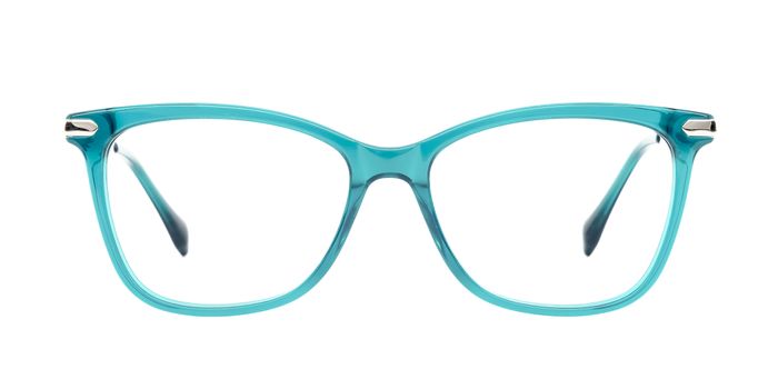 MCGEE HERON Leanne in Tortoise only £15 per frame!