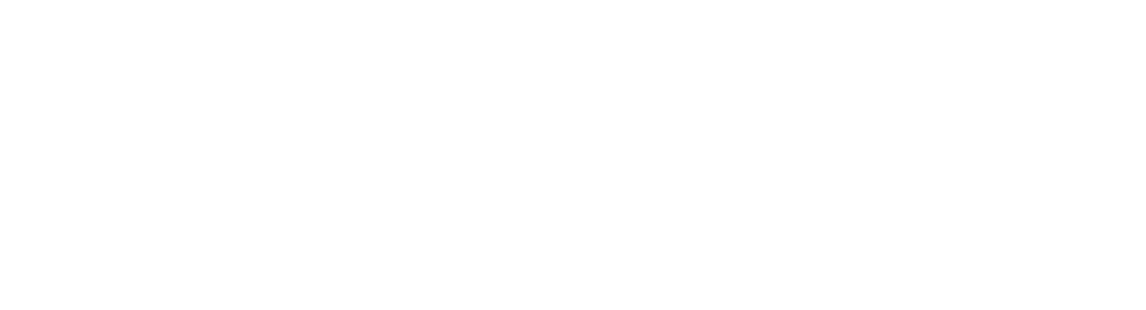 100% Optical 2025