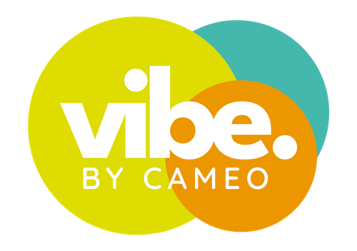 Introducing vibe. by Cameo