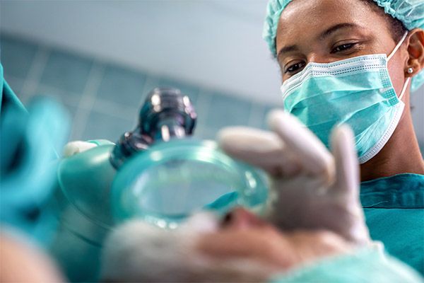 Women In Anaesthesia