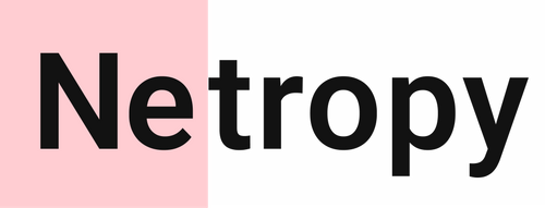 Netropy AI