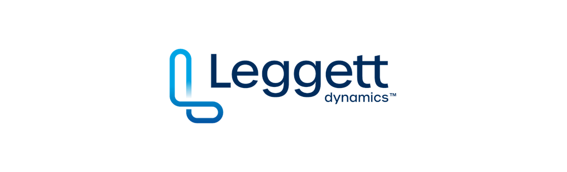 Leggett Dynamics
