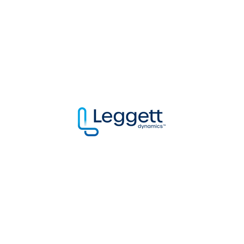 Leggett Dynamics